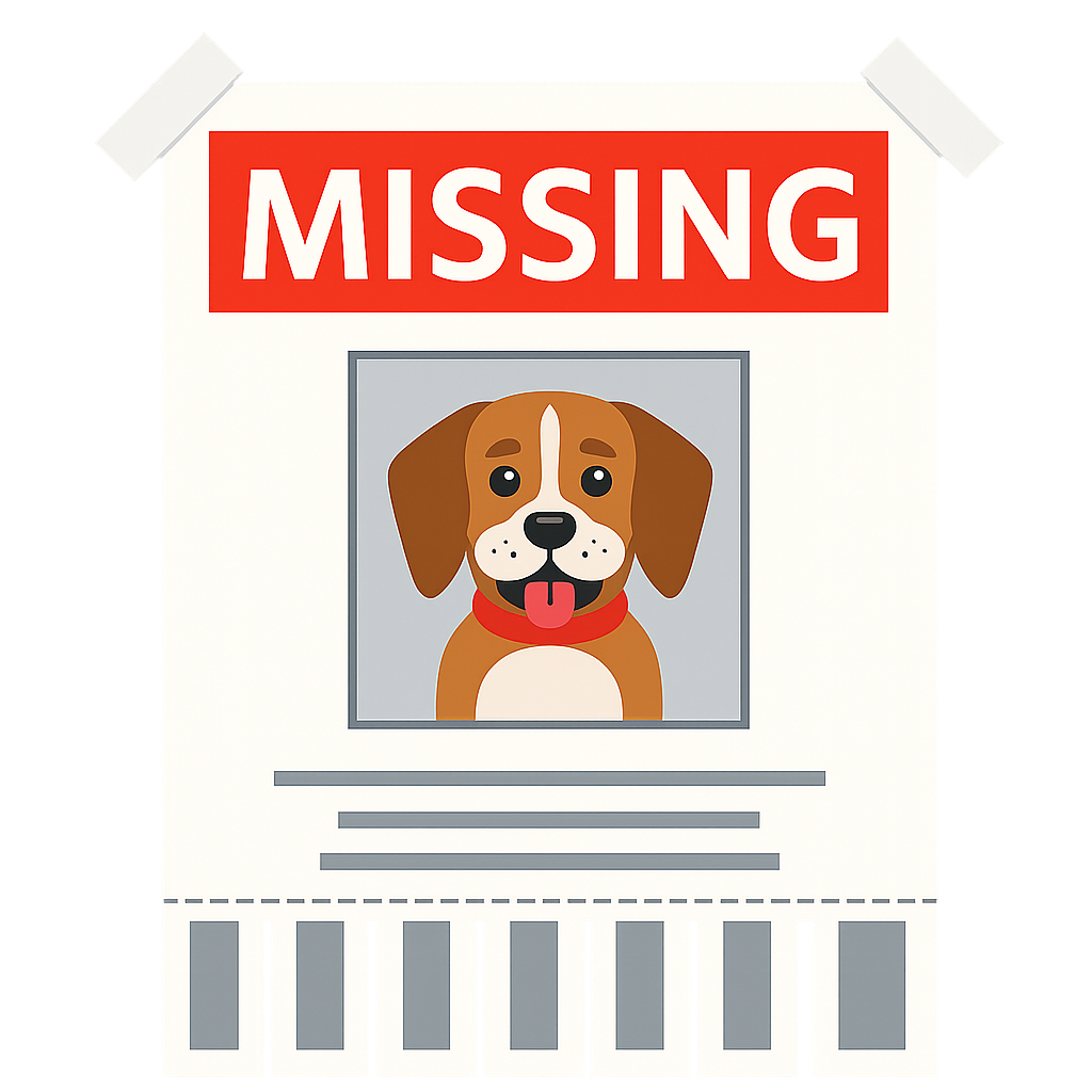 Missing Poster