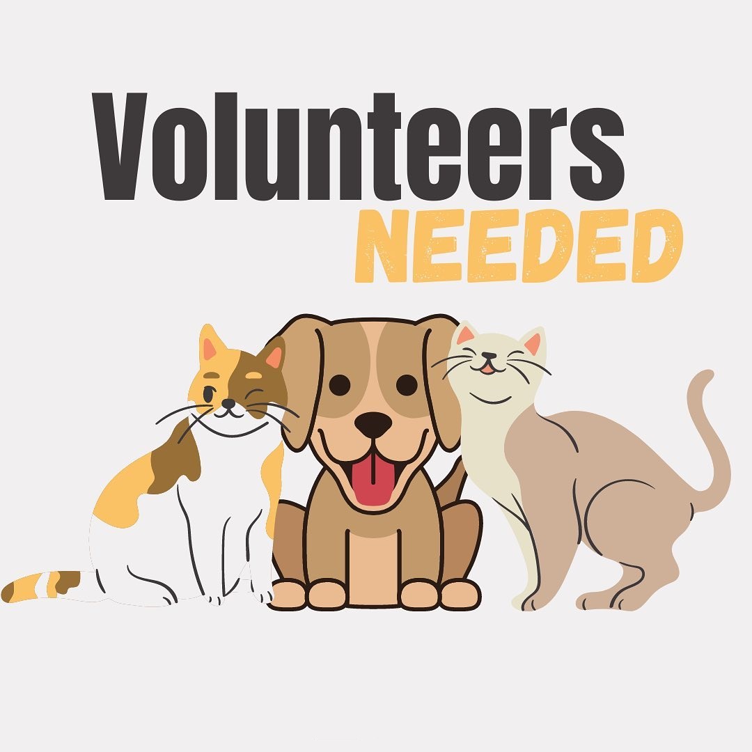 Volunteers Needed